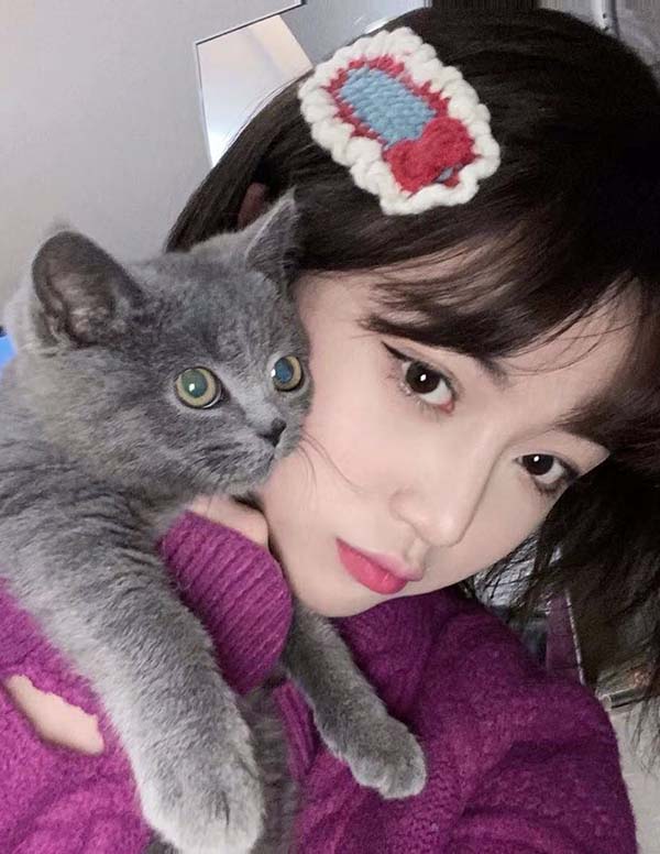 旧金山伴游招聘